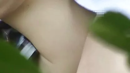 હેપી બર્થ ડે આઉટડોર કેમ્પસ કેટ લીટીંગ