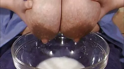 સ્તનપાન એરોટિકા
