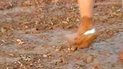 આધેડ, રુવાંટીવાળું, બિલાડી