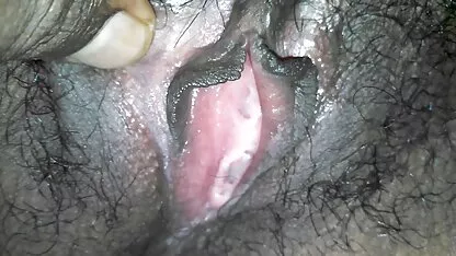શ્રી લંકન બિલાડી ડિપિંગ